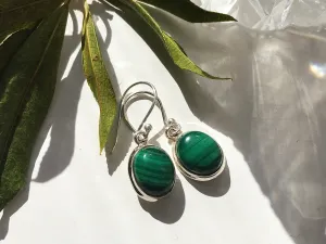 Malachite Ari Earrings - Oval