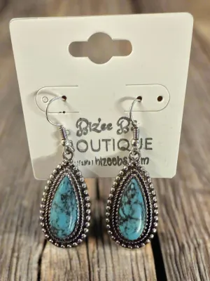 Silver and Stone Earrings